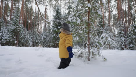 small-child-is-playing-with-spruce-in-winter-forest-have-fun-in-winter-weekend